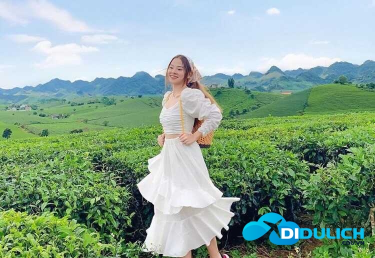 doi-che-tan-uyen-12 Đồi Chè Tân Uyên