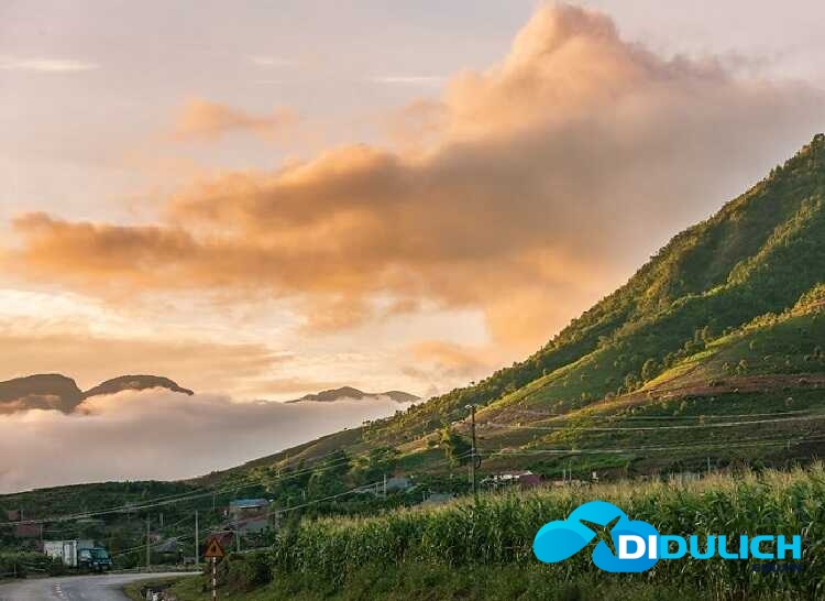 doi-che-tan-uyen-15 Đồi Chè Tân Uyên