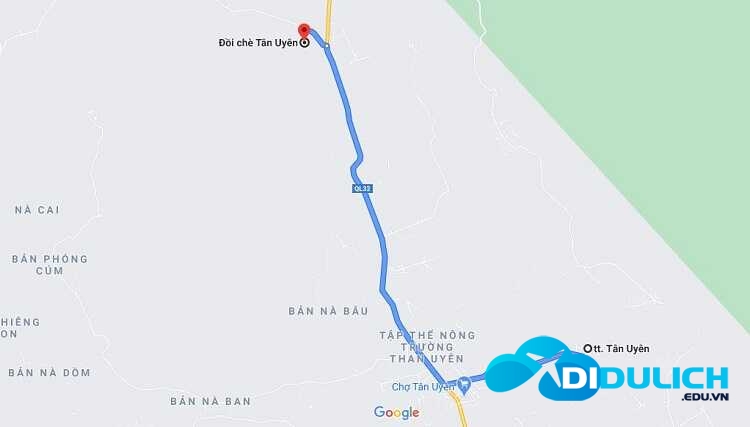 doi-che-tan-uyen-3 Đồi Chè Tân Uyên