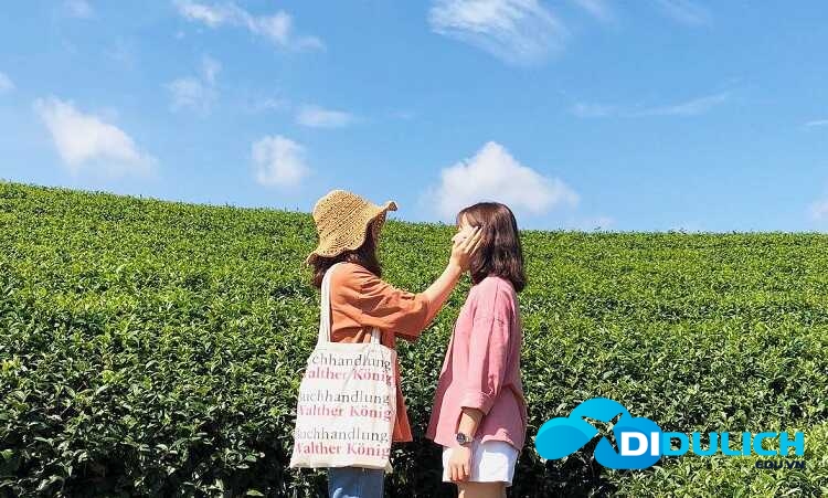 doi-che-tan-uyen-7 Đồi Chè Tân Uyên