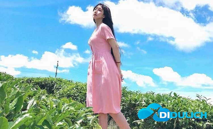doi-che-tan-uyen-9 Đồi Chè Tân Uyên
