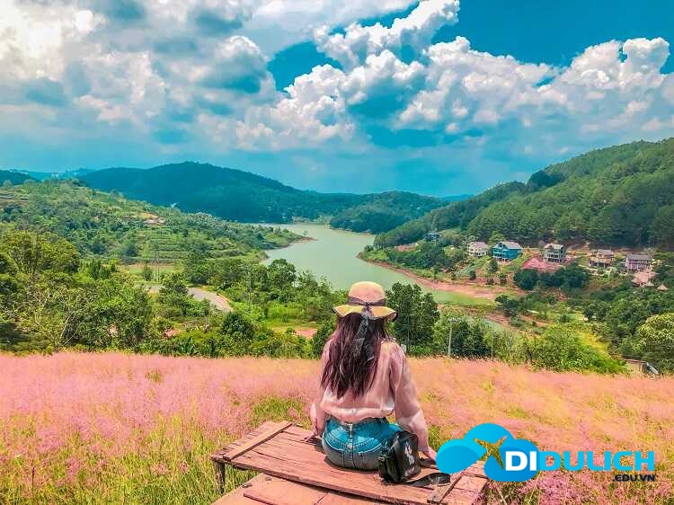 doi-co-hong-da-lat-2-1 Đồi cỏ hồng Đà Lạt