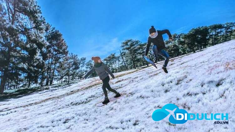 doi-co-hong-da-lat-8 Đồi cỏ hồng Đà Lạt
