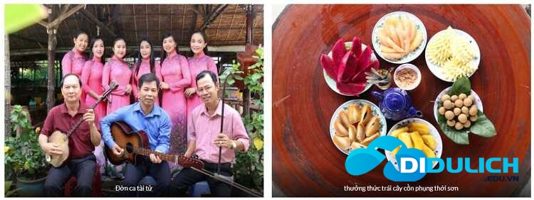 don-ca-tai-tu_optimized Giao lưu Đờn ca tài tử Nam Bộ và thưởng thức trái cây theo mùa.