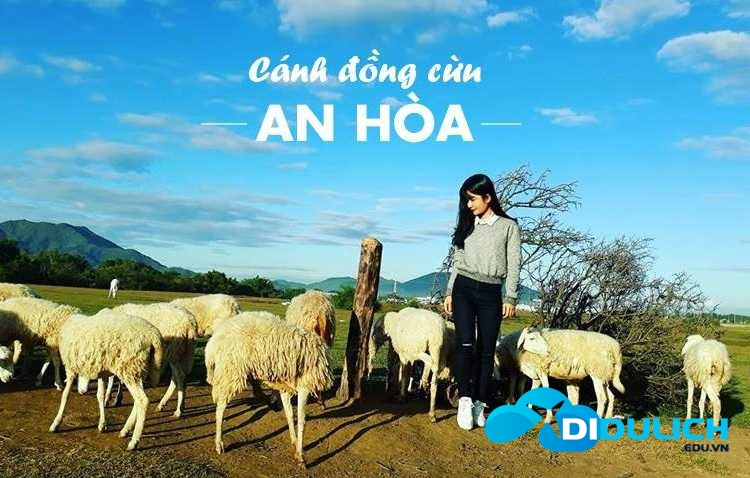 dong-cuu-an-hoa-ninh-thuan-5-1 Đồng Cừu An Hòa Ninh Thuận