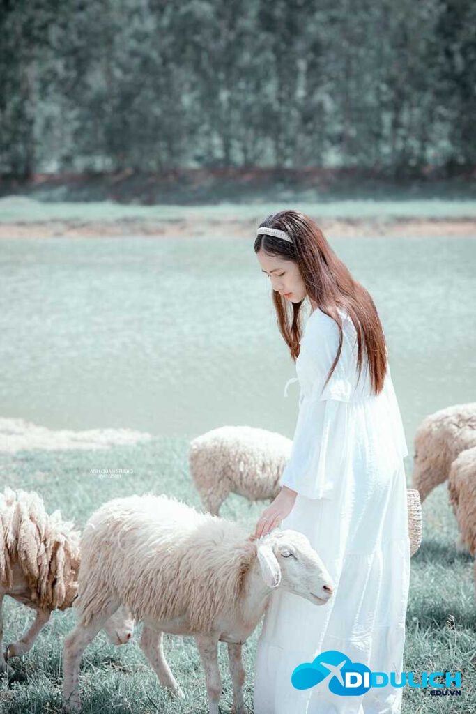 Đồng Cừu Ninh Bình