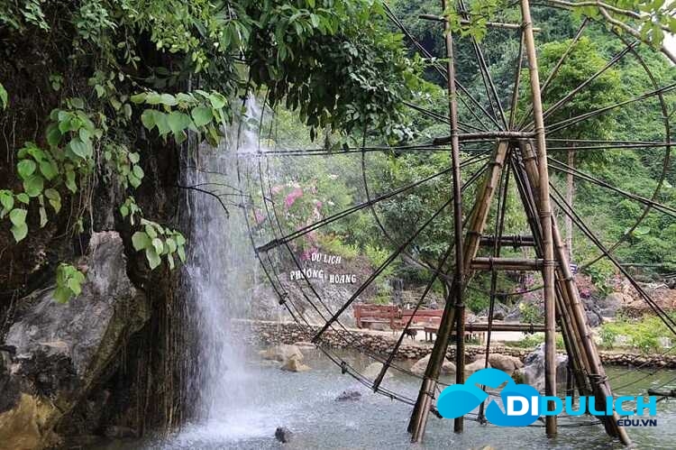 hang-phuong-hoang-suoi-mo-ga-13_optimized hang phượng hoàng