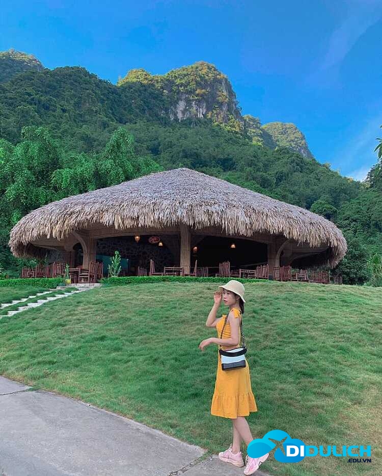 hang-phuong-hoang-suoi-mo-ga-8_optimized hang phượng hoàng