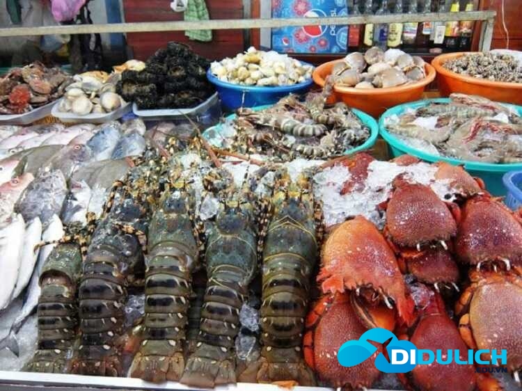 ho-coc-vung-tau-2 hải sản
