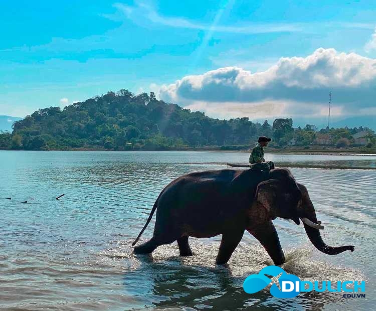 ho-lak-buon-me-thuot-7 Hồ Lak, khu du lịch sinh thái đa dạng nền văn hóa của Buôn Mê Thuột