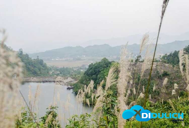 ho-ly-phu-tho-14_optimized Hồ Ly Phú Thọ (Tuyệt Tình Cốc Phú Thọ)