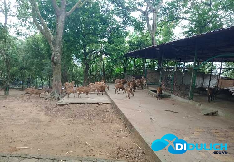 ho-nui-coc-6_optimized Vườn động vật hoang dã