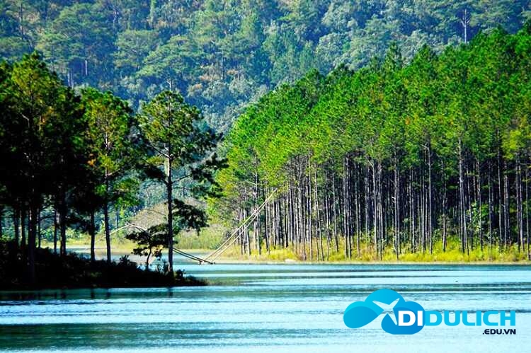 ho-tuyen-lam-1_optimized Nam Thiên Đệ Nhất Hồ