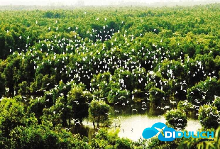 khu-du-lich-giao-gong-dong-thap-17 Khu du lịch Gáo Giồng