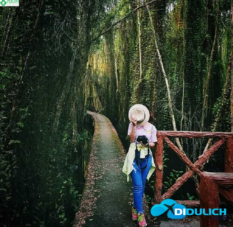 khu-du-lich-lang-noi-tan-lap-7 Khu du lịch làng nổi Tân Lập có gì hot?