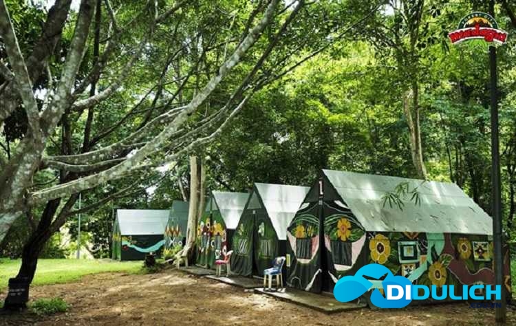 khu-du-lich-madagui-5 Khu du lịch Madagui, kỳ thú một góc rừng Nam Cát Tiên