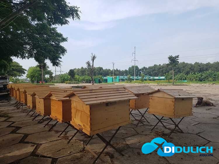 khu-du-lich-nuoc-noi-tan-lap-2_optimized Tham quan khu vực nuôi ong mật