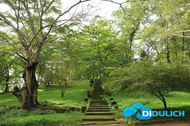 khu-du-lich-sinh-thai-suoi-tre-dong-nai-12_optimized Suối Tre, một công viên du lịch sinh thái xanh rì ở Đồng Nai