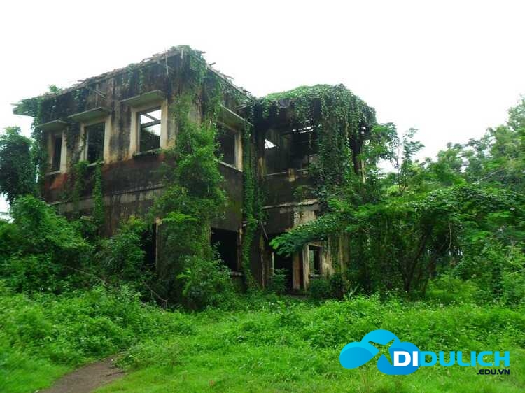khu-du-lich-sinh-thai-suoi-tre-dong-nai-13_optimized-1 Suối Tre, một công viên du lịch sinh thái xanh rì ở Đồng Nai