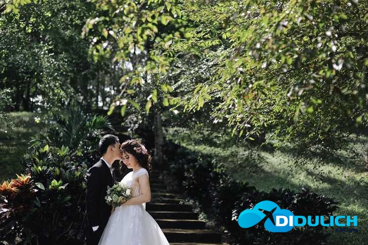 khu-du-lich-sinh-thai-suoi-tre-dong-nai-7_optimized Suối Tre, một công viên du lịch sinh thái xanh rì ở Đồng Nai