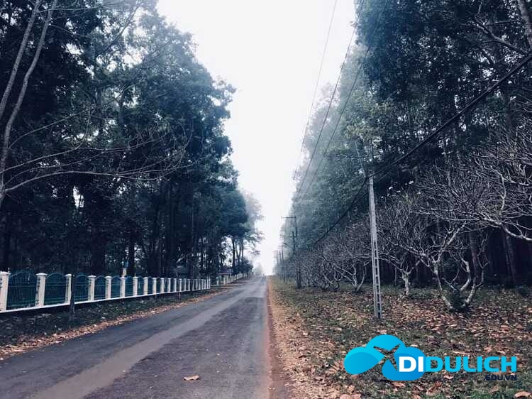 khu-du-lich-sinh-thai-suoi-tre-dong-nai-9_optimized Đường đi khu du lịch sinh thái Suối Tre