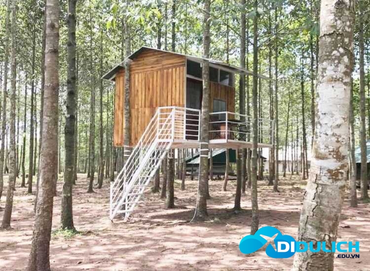 khu-du-lich-sinh-thai-thac-giang-dien-6_optimized Thác Giang Điền, khu du lịch sinh thái với ngàn góc chụp sống ảo