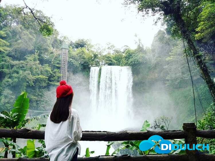 khu-du-lich-thac-dambri-2_optimized sống ảo thác dambri