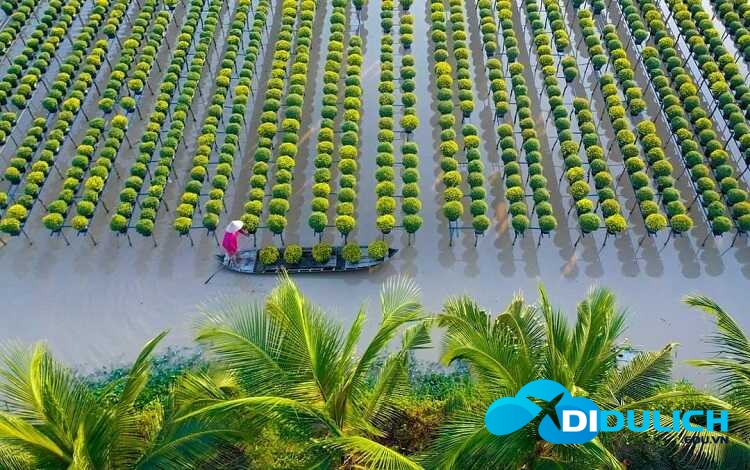 lang-hoa-sa-dec-15_optimized Làng hoa Sa Đéc, khu du lịch chụp hình sống ảo đẹp nhất Đồng Tháp
