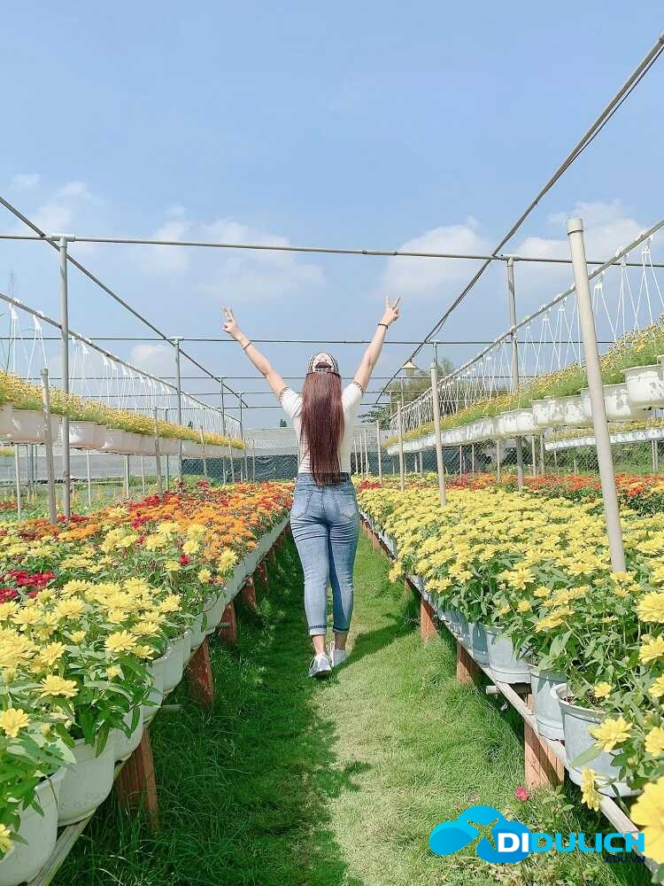 lang-hoa-sa-dec-20_optimized Làng hoa Sa Đéc, khu du lịch chụp hình sống ảo đẹp nhất Đồng Tháp