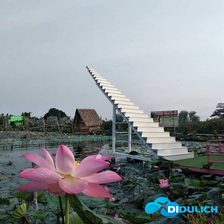 lang-hoa-sa-dec-29_optimized Làng hoa Sa Đéc, khu du lịch chụp hình sống ảo đẹp nhất Đồng Tháp