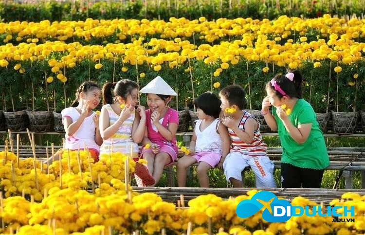 lang-hoa-sa-dec-6_optimized Làng hoa Sa Đéc, khu du lịch chụp hình sống ảo đẹp nhất Đồng Tháp