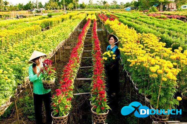 lang-hoa-sa-dec-7_optimized Làng hoa Sa Đéc, khu du lịch chụp hình sống ảo đẹp nhất Đồng Tháp