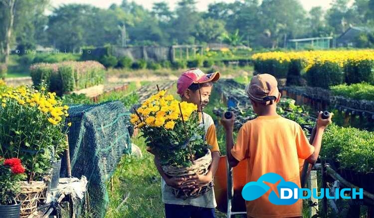 lang-hoa-sa-dec-8_optimized Làng hoa Sa Đéc, khu du lịch chụp hình sống ảo đẹp nhất Đồng Tháp