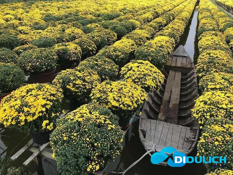 lang-hoa-sa-dec-9_optimized Làng hoa Sa Đéc, khu du lịch chụp hình sống ảo đẹp nhất Đồng Tháp