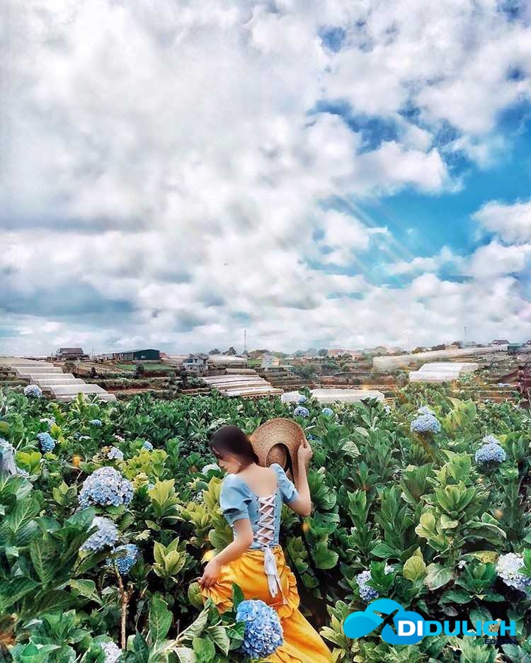 lang-hoa-van-thanh-9 Làng hoa Vạn Thành