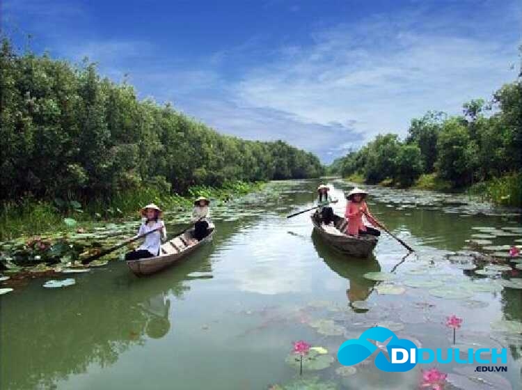 lang-sen-4_optimized-1-1 Khu bảo tồn Láng Sen
