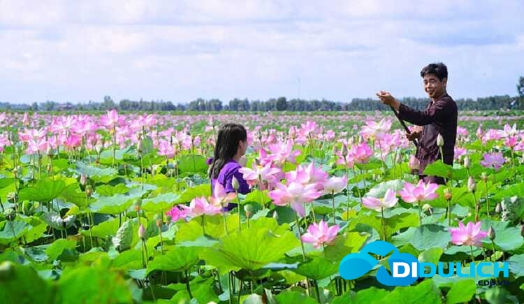lang-sen-9_optimized Khu bảo tồn Láng Sen