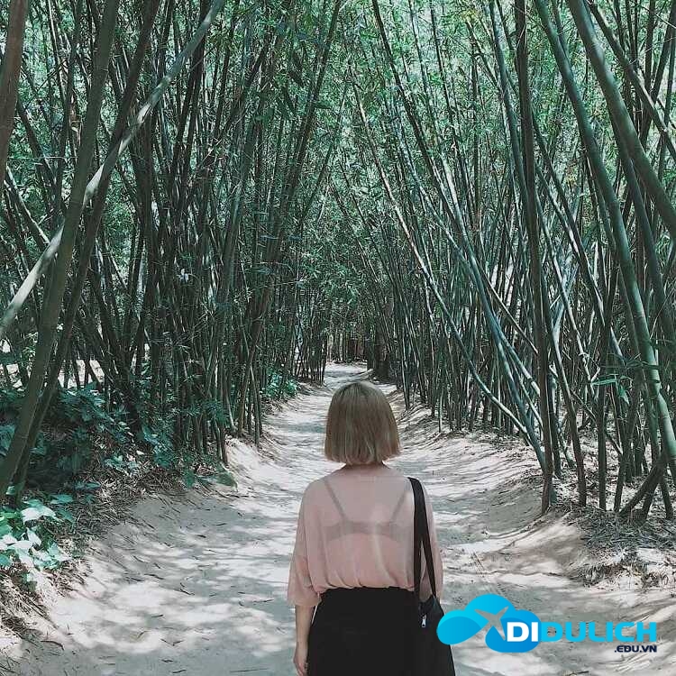 lang-tre-phu-an-12_optimized Làng Tre Phú An khu sinh thái check in sống ảo cực chất