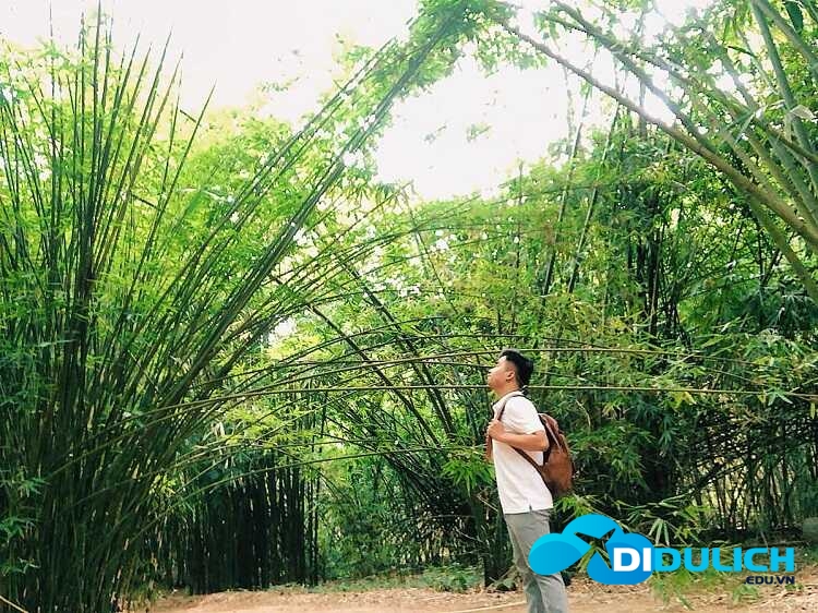 lang-tre-phu-an-7_optimized Làng Tre Phú An check in sống ảo cực chất