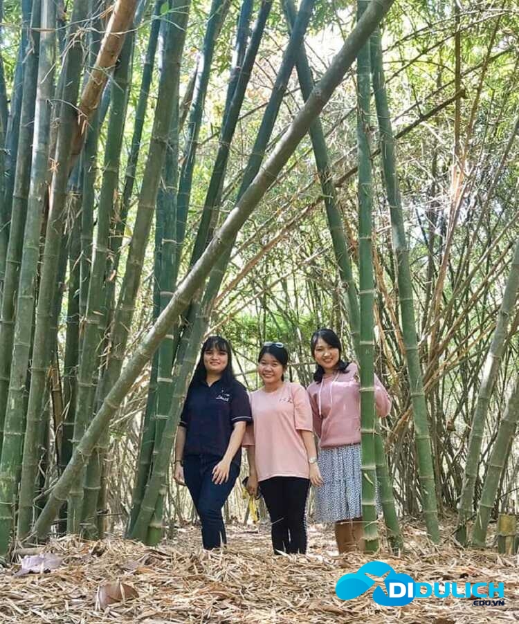 lang-tre-phu-an-8_optimized Làng Tre Phú An