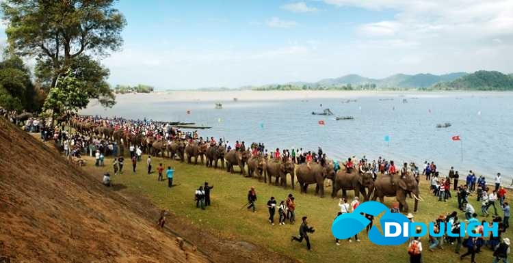 le-hoi-ho-lak-2 lể hội đua voi