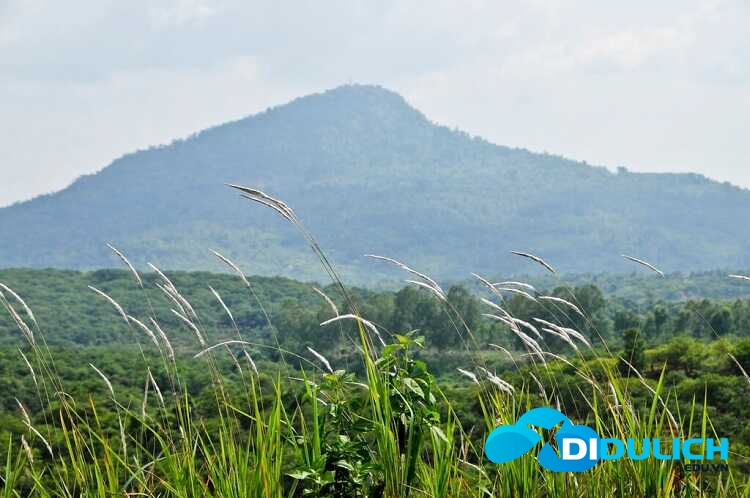 nui-ba-ra-binh-phuoc-9 Núi Bà Rá, khám phá chinh phục ngọn núi cao nhất Bình Phước