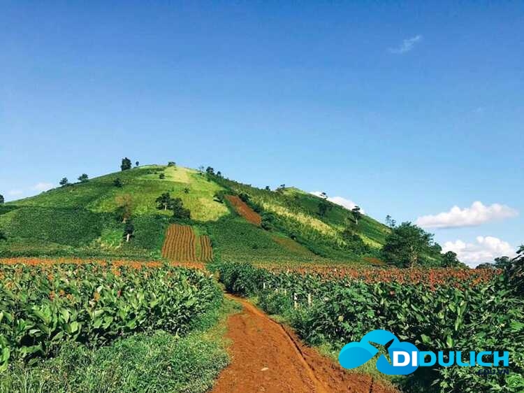 nui-lua-chu-dang-ya-28_optimized Núi lửa Chư Đăng Ya