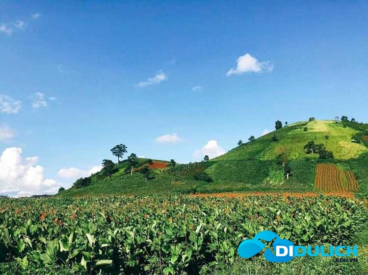 nui-lua-chu-dang-ya-31_optimized Núi lửa Chư Đăng Ya