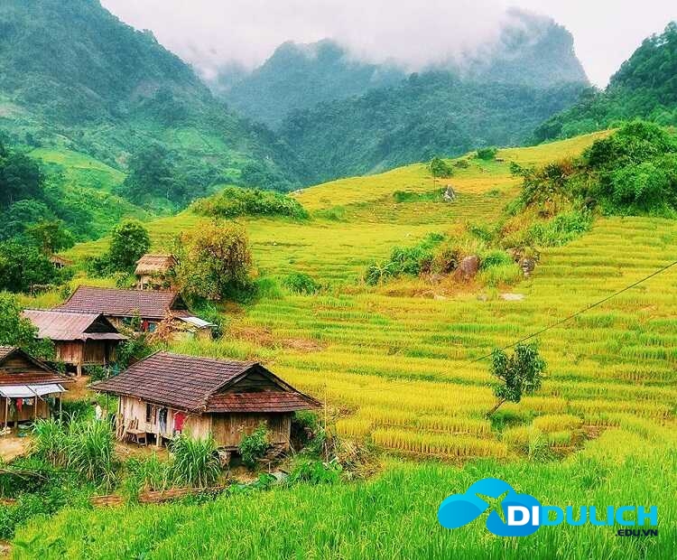 nui-ngoc-linh-3_optimized núi Ngọc Linh