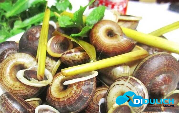 oc-da-suoi-bang_optimized ốc suối đá bàng