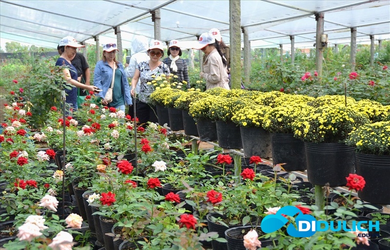 photo-13-1516660941675 khu du lịch Cánh đồng hoa hồng Sa Đéc