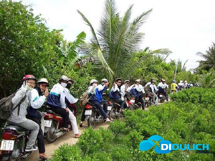phuotbentre_optimized Đường đi và phương tiện di chuyển tới Cồn Phụng