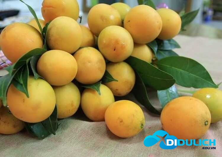 qua-thanh-tra_optimized Quả Thanh Trà