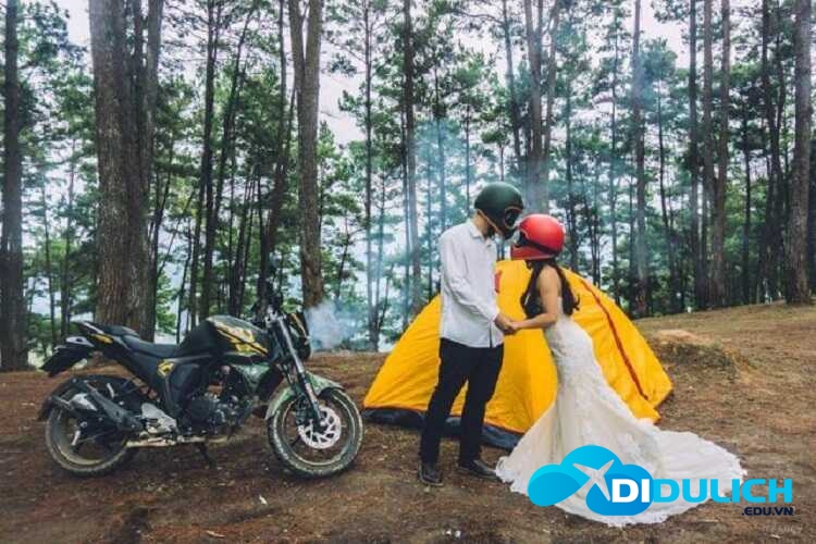 rung-thong-yen-minh-ha-giang-12_optimized Rừng thông Yên Minh ở Hà Giang có phải là một Đà Lạt của Đông Bắc?
